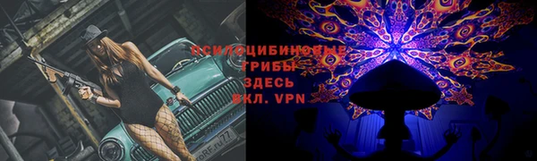 apvp Алексин