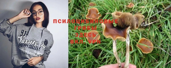 прущие крисы Алзамай