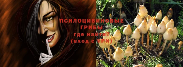 ALPHA-PVP Алексеевка