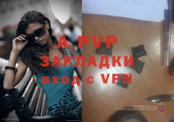 apvp Алексин