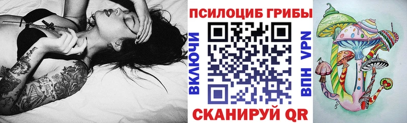 МЕГА маркетплейс закладки Черемхово Псилоцибиновые грибы Psilocybe