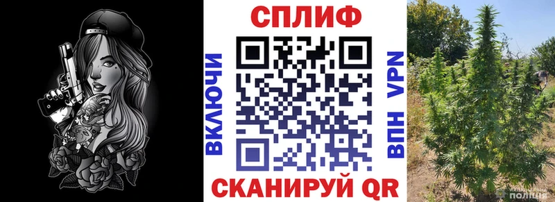Конопля AK-47 Черемхово